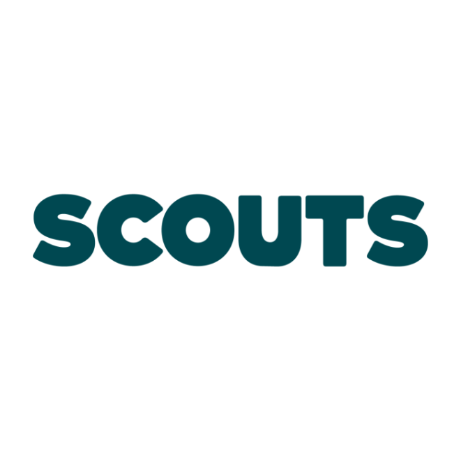 Logo for Scouts Section